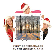 Christmas card 2011
